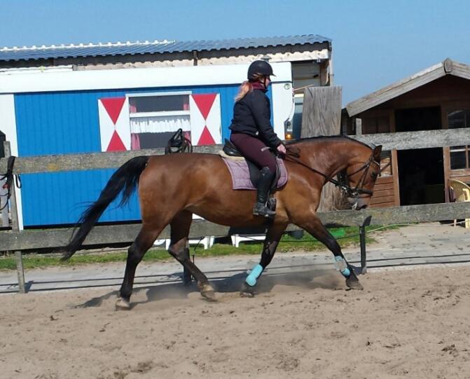 B&B Boerderij Rust, In Pipowagens! Den Helder Luaran gambar
