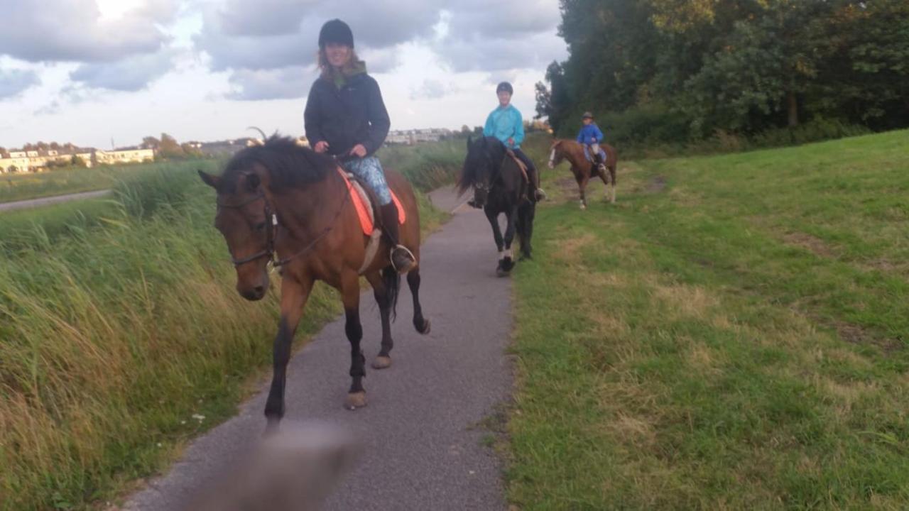 B&B Boerderij Rust, In Pipowagens! Den Helder Luaran gambar