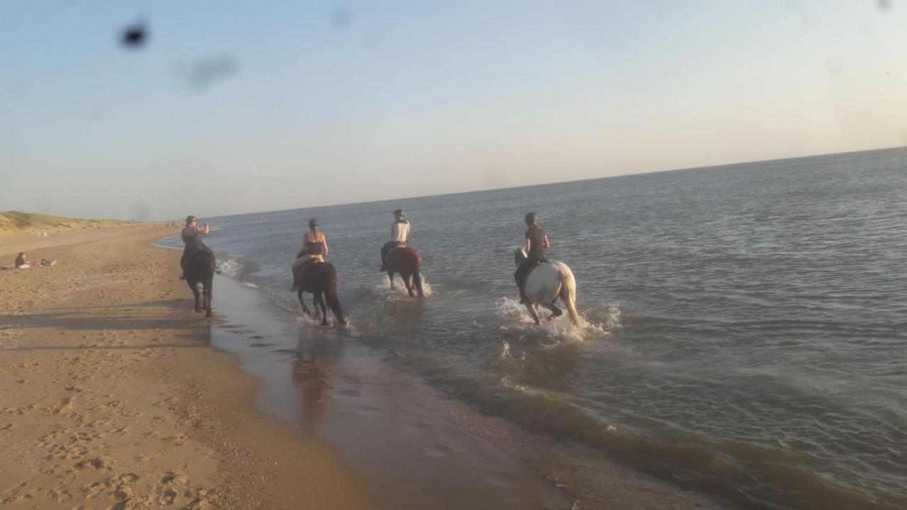 B&B Boerderij Rust, In Pipowagens! Den Helder Luaran gambar